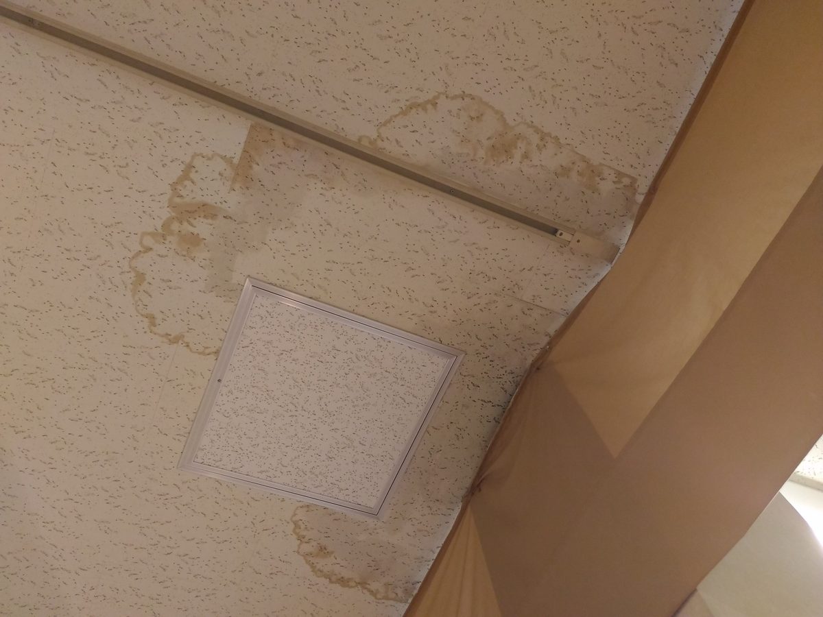 天井の膨らみ